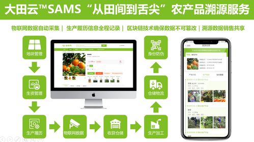 大田智慧農(nóng)業(yè)投資1.28億元數(shù)字化服務(wù)，構(gòu)筑農(nóng)產(chǎn)品安全生產(chǎn)新生態(tài)